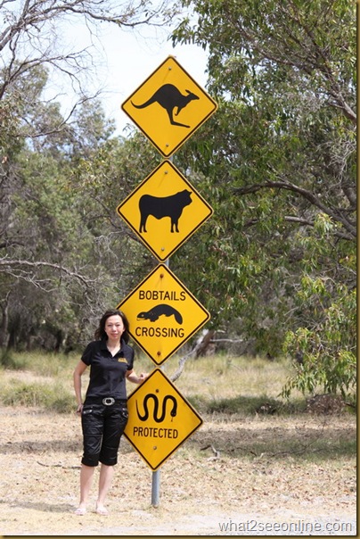 CK Lam in an eventful day exploring the suburbs of Perth