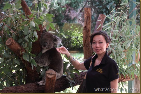 CK Lam in an eventful day exploring the suburbs of Perth