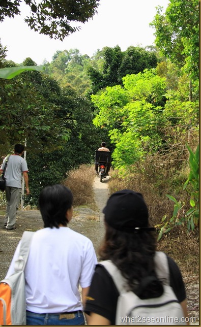 Balik Pulau Durian Farm Visit - Pondok Upeh by what2seeonline.com