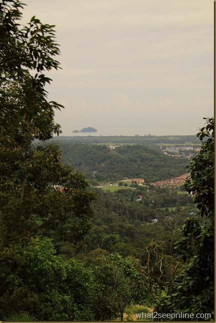 Balik Pulau Durian Farm Visit - Pondok Upeh by what2seeonline.com